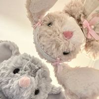 _z_jiayin_