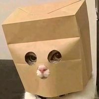 suara asli - komanggita510