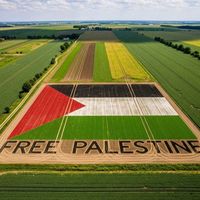 palestnie2