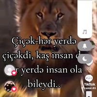 orijinal ses