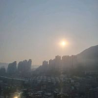 오리지널 사운드 - 정미