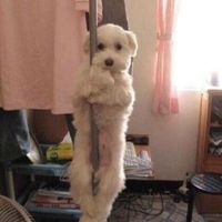 왜 이렇게 많이 쓰는거지