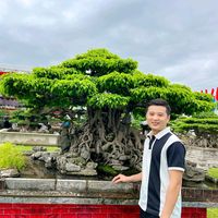nhạc nền - khuôn chậu cảnh Cao Bằng