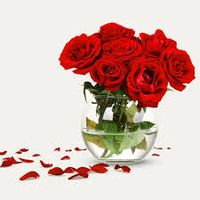 afia.afrin5969
