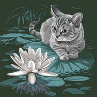 healing_scenery7