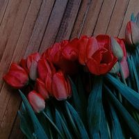 оригінальний звук