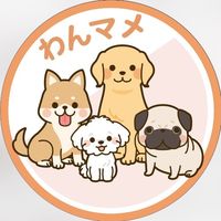 オリジナル楽曲 - わんマメ🐶愛犬を知る豆知識