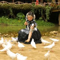 nhạc nền - Hương Nguyên Hương N