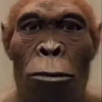 original sound - sameedbhatkar