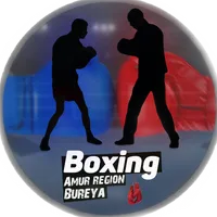 original sound - boxing_bureya1