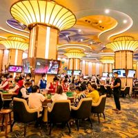 原声 - 新盛娱乐负责人