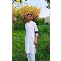 pakhton_zlmi1
