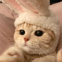 nataly_3975