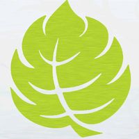 eredeti hang – hillvital.hu