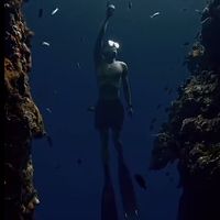 _p44ndiver_
