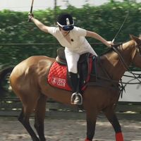 georgiashorsingaround