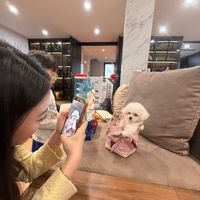 original sound - minhanhbeo