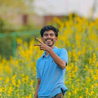 punsara_264
