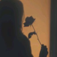 iris._.ko