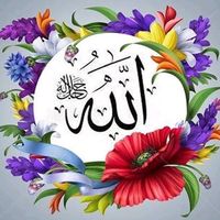 rashaali027