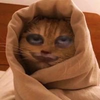 suara asli - dliynnn_