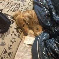 オリジナル楽曲 - 勇気づけられる曲紹介