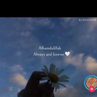 alibads01