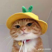 nhạc nền - Đào Khanh yyds