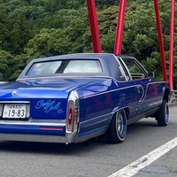 ume_1126