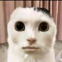 ttewlbr