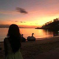 suara asli
