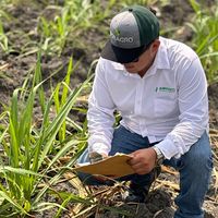 el_agrocultor15