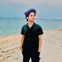 hamza.ali0008