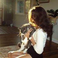 sara.aziz78