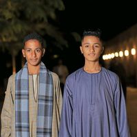 الصوت الأصلي