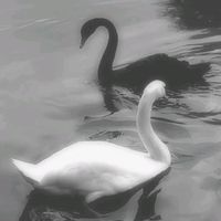 mevibes07