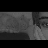 roa_bader02