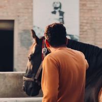waleedsafdar947