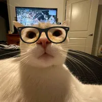 original sound - thway32001