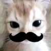 lu_mult3