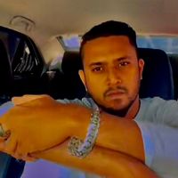 forest_mraj_ns