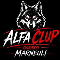 alfa_klub_boxing