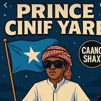 cinif.yare