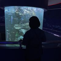 blue_11105