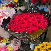 amor04186
