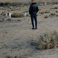 الصوت الأصلي