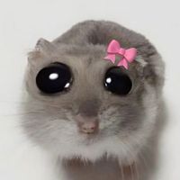 cutesysam1