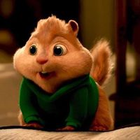 qynhsocute