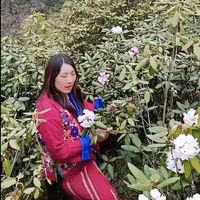 yangzom.2