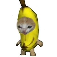coralcapcut0
